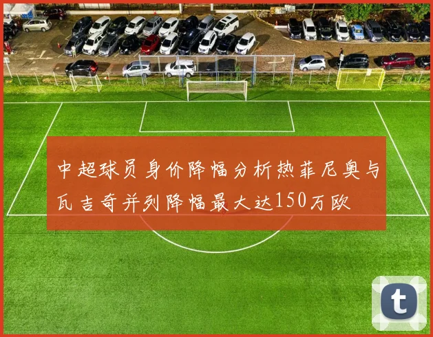 中超球员身价降幅分析热菲尼奥与瓦吉奇并列降幅最大达150万欧